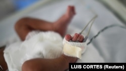 Иллюстрациялык сүрөт. 