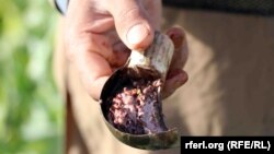 تصویر آرشیف: شیرهٔ تریاک 