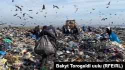 Бишкек дүйнөдөгү абасы булганыч шаарлардын сап башында. Экологдор абанын кирдешине автоунаадан чыккан газ, үйлөрдөгү мештерден жана Жылуулук электр борборунан чыккан түтүн себеп экенин айтып келишет.