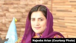 د افغانستان پوهنې وزارت ویانده نجیبه ارین