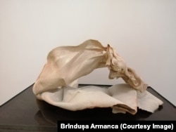 Lucrare din seria Plierea memoriei la Muzeul Național de Artă din Timișoara