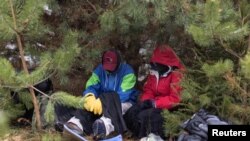 Беларус-Польша чек арасындагы мигранттар. Иллюстрациялык сүрөт. 