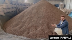 جلغوزه سیاه یکی از اقلام عمده صادراتی افغانستان به چین