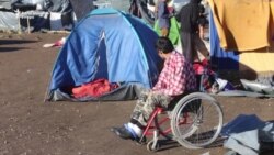 Na poljani kod Kladuše, bez pomoći