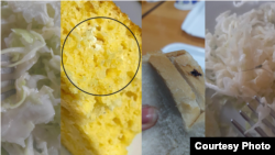 Илустрација - дел од менито во студентскиот дом „Гоце Делчев“, ноември 2022