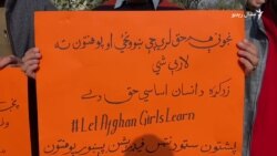 د افغان نجونو پر لوړو زده کړو د طالبانو د بندیز خلاف پېښور کې مظاهره