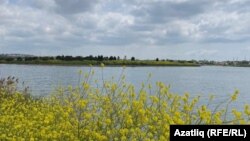 Камил Абдүш күле