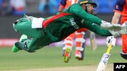 عکس از آرشیف - جنبه تزئینی دارد