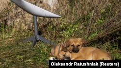 Як Starlink Ілона Маска став неоціненним для військових зусиль України (фоторепортаж)