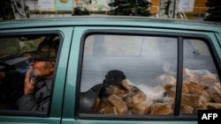 Літній волонтер на донецькому напрямку, ілюстраційне фото