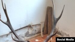 Жаратылыш ресурстары, экология жана техникалык көзөмөл министрлиги тараткан сүрөт. 