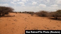 Африкадагы кургакчылык.