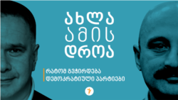 რატომ გვჭირდება დემოკრატიული პარტიები