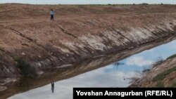 Zeýkeş boýunda duran çaga