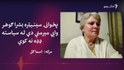 بشرا ګوهر وايي د باچا خان مبارزې سیاست ته لېواله کړه 