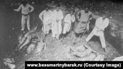 Розкопки братської могили з жертвами Червоного терору в Харкові