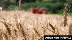 Korrje-shirjet, të kushtueshme e të pamjaftueshme