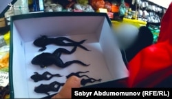 Погибшие после заточения в коробку лягушки.