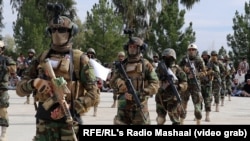 شماری از نیروهای طالبان