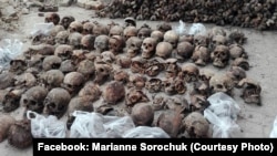 Останки в’язнів радянського режиму, які були розстріляні в Луцьку 22-23 червня 1941 року. Літо 2017 року