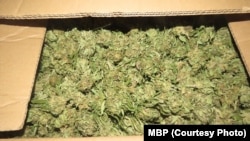 Илустрација 