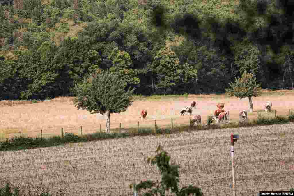Zemljište u blizini manastira.