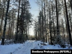 Дорога с "большака" до Барашкова