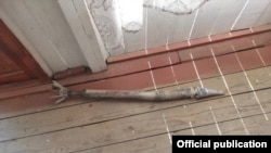 Фото ГКНБ КР.