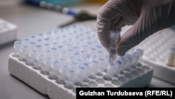 При в’їзді з Індії, Великої Британії, Росії й Португалії в пунктах пропуску потрібно буде зробити експрес-тест на визначення антигена коронавірусу SARS-CoV-2