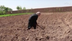 "خواهران لایقه هم که بزرگ شدند مکتب نروند"