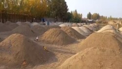 Өзбекстандагы көрүстөндөрдө жаңы казылган мүрзөлөр.