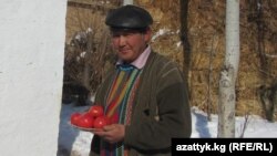 Кышында помидор, бадыраң өстүргөн нарындык дыйкан Моңолбек Султанбаев.