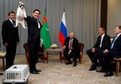 Berdimuhamedow türkmen güjügini ýeňsesinden tutup, Putine sowgat berýär