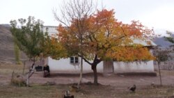 Жерге-Тал аймагы.