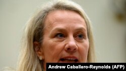 د جنوبي اسیا لپاره د امریکا بهرنیو چارو وزارت سرپرست مرستیاله الیس وېلز