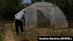 Një kopsht me perime të mbjella nga një pacient i Shtëpisë për Integrim në Gjilan.