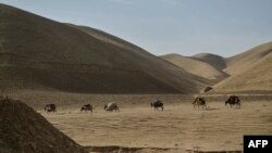 خشکسالی در بخش های از جنوبغرب افغانستان