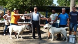 Kärizow: Türkmen medeniýeti daşary ýurtlarda saklanýar