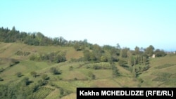 იმერეთის რეგიონი