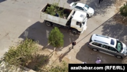 Çapylan agaç şahalary ýük ulaglaryna ýüklenýär. Aşgabat. Sentýabr, 2022 ý.