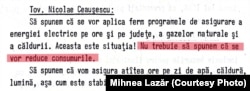 Extras din stenograma ședinței Comitetului Politic Executiv al PCR, 13 ianuarie 1985