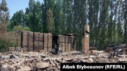 Баткен коогасында набыт болгон кыргызстандыктардын саны 35ке жетип, 183 киши жараат алды.