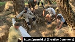 Спільна українсько-польська експедиція у Пужниках у 2023 році. Світлина із сайту puzniki.pl