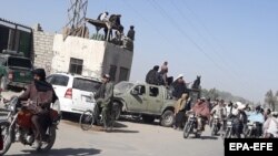 آرشیف- نیروهای طالبان در ولایت هلمند