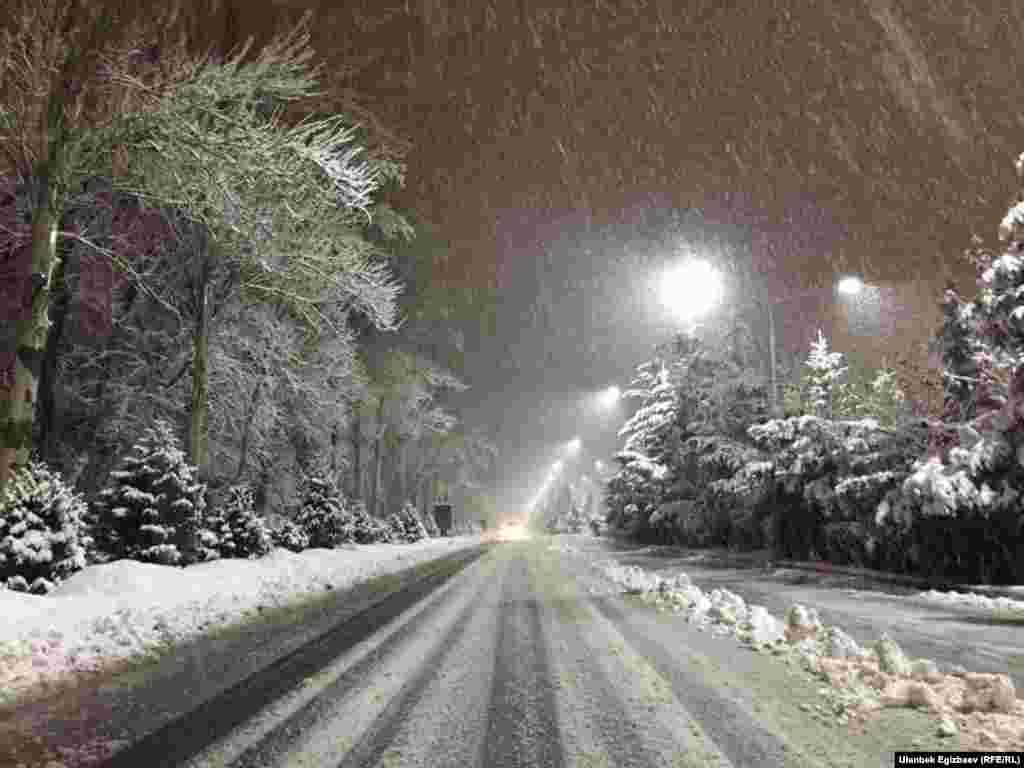 "Манас" аэропортуна бараткан жол