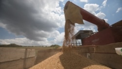 Çka janë Rezervat Shtetërore dhe si mbushen ato? 