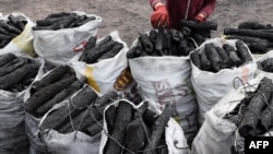 آرشیف - عکس جنبه تزئینی دارد