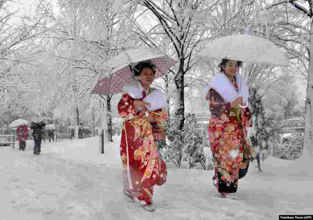 Токио во снег, 14 јануари 2013.