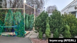 Первый елочный базар открылся в Симферополе на площади им.Куйбышева