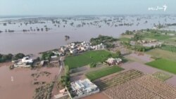 سېلابونو په پنجاب کې له ۱۶۰۰ زیات کلي لاندې کړي دي